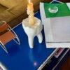 Interesting tooth vase can be used for flower arrangement candle holder  household